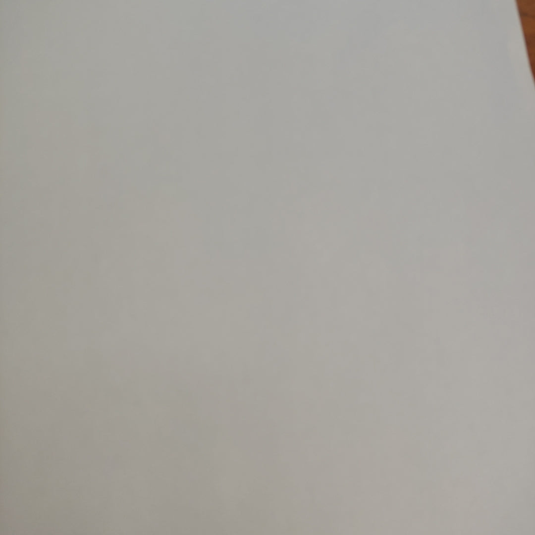 CELULAR XIAOMI REDMI NOTE 11 PRO 2201116TG 128 GB 8 GB RAM