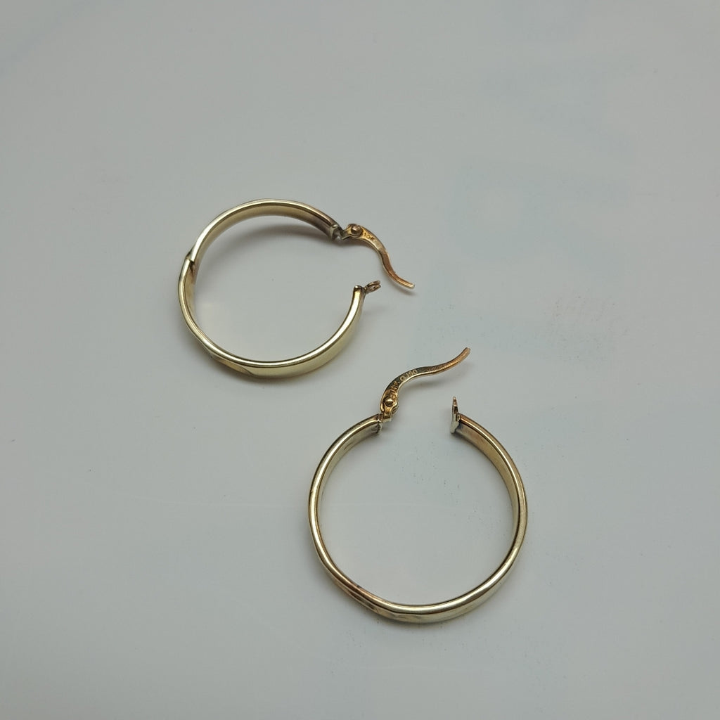 ARRACADAS PAR ORO 10 K 2.2 GRMS (SEMINUEVO)