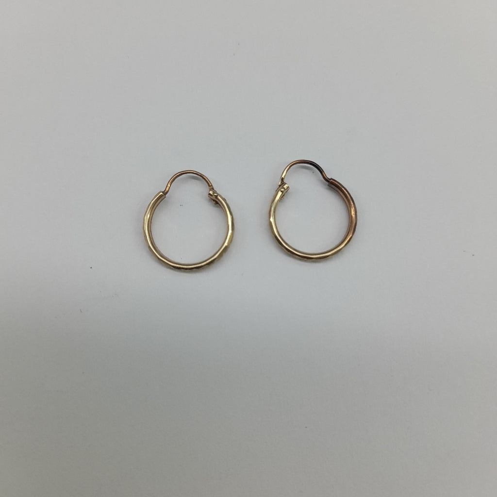 ARRACADAS PAR ORO 10 K 0.9 GRMS (SEMINUEVO)