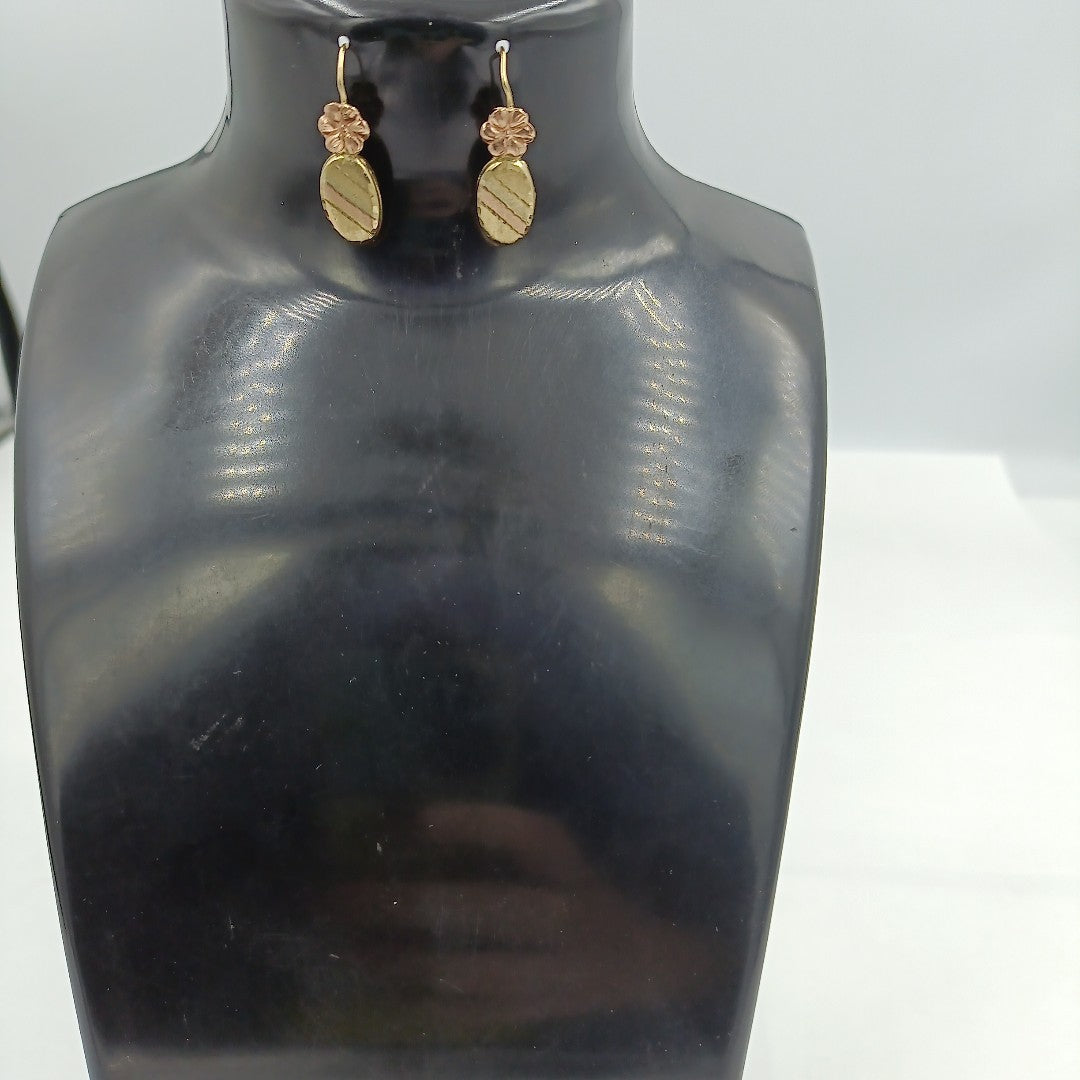 ARETES PAR ORO 10 K 1.3 GRMS (SEMINUEVO)