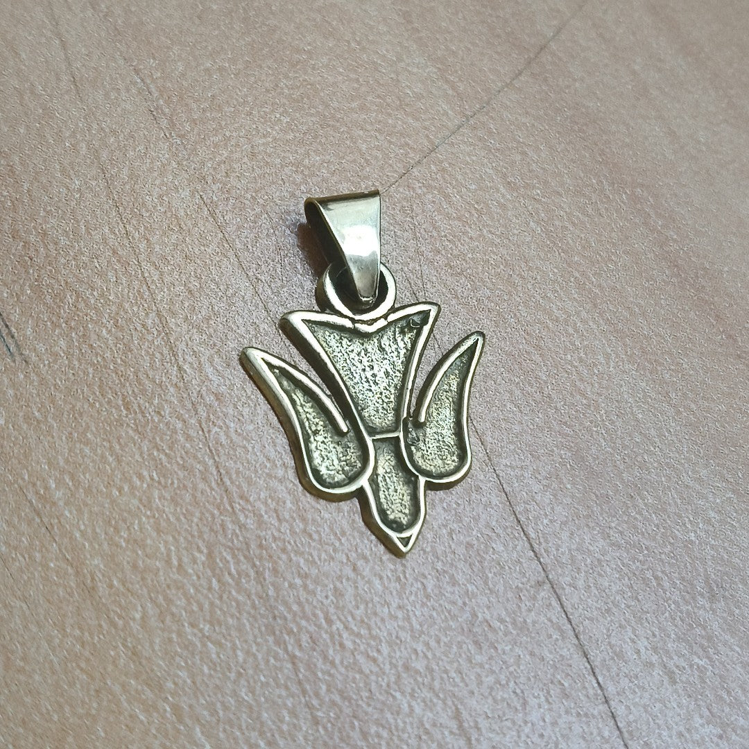 DIJE ORO 10 K 0.9 GRMS (SEMINUEVO)