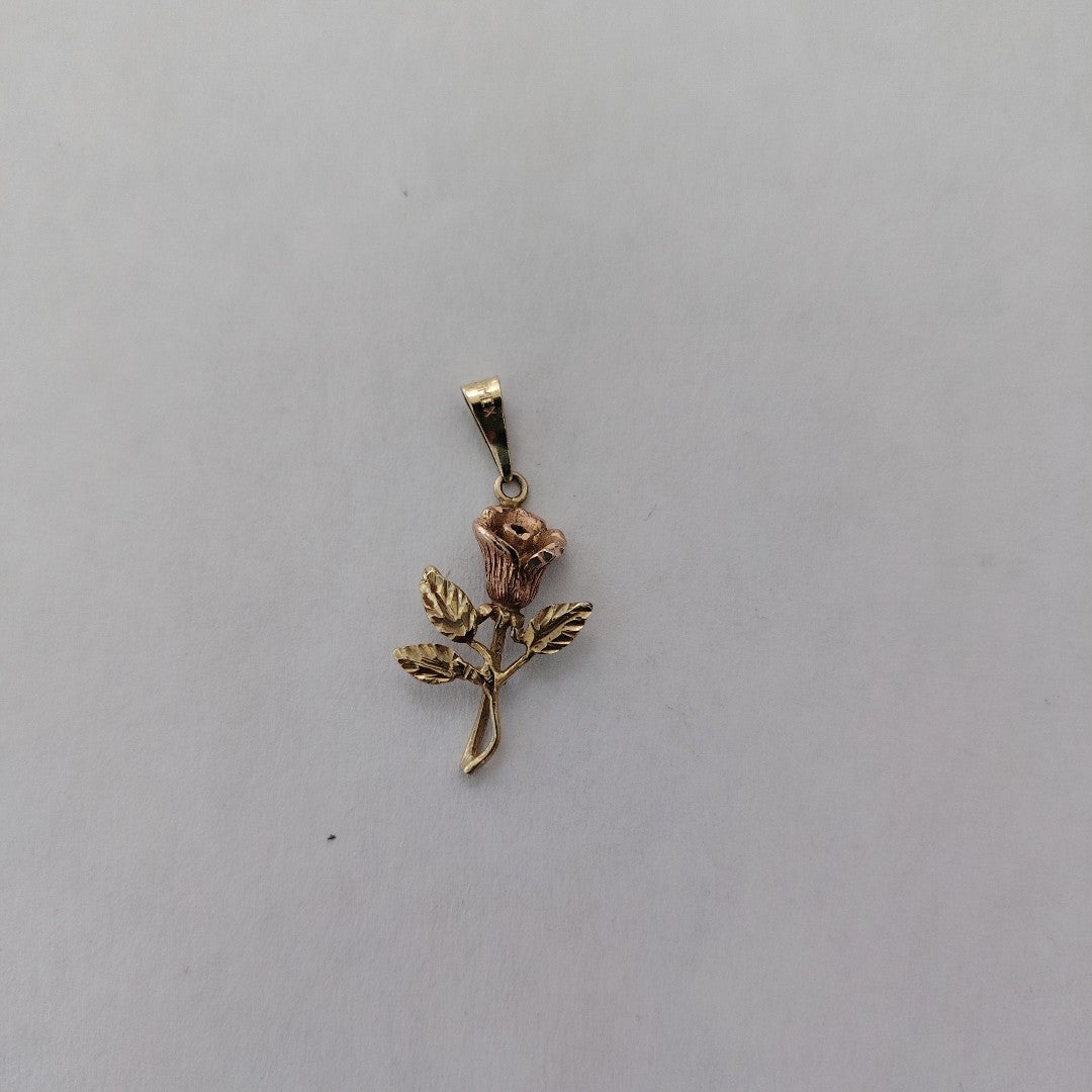 DIJE ORO, ORO COMBINADO 10 K 1.5 GRMS (SEMINUEVO)