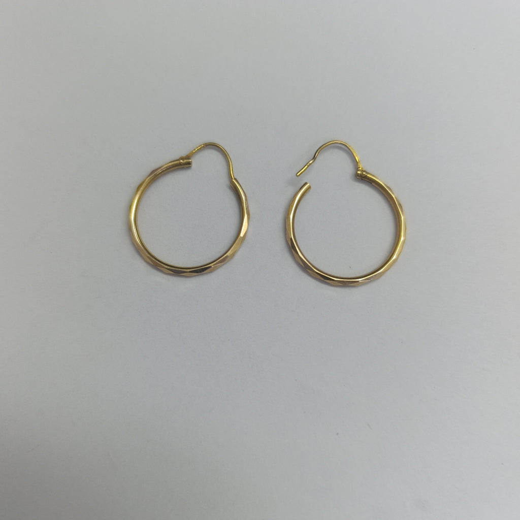 ARRACADAS PAR ORO 10 K 1.8 GRMS (SEMINUEVO)