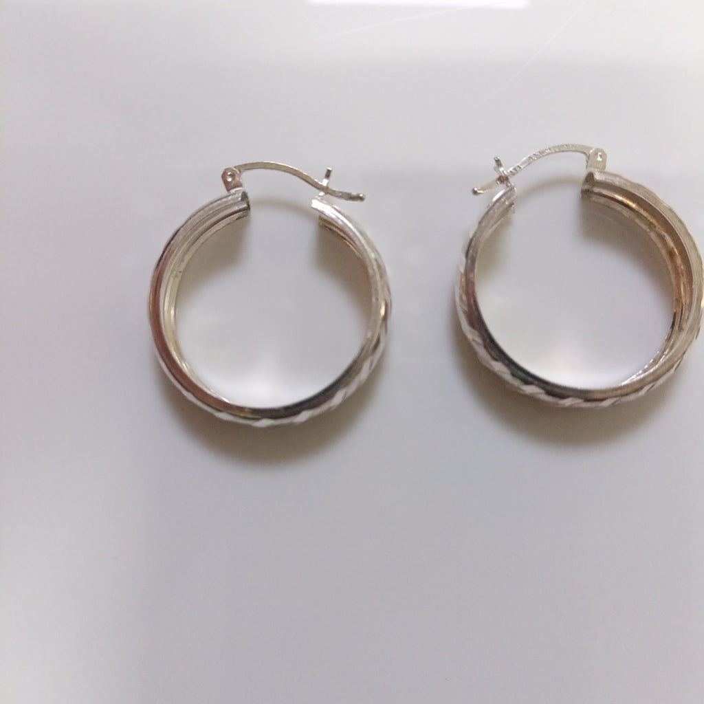 ARRACADAS PAR PLATA 3.9 GRMS (SEMINUEVO)