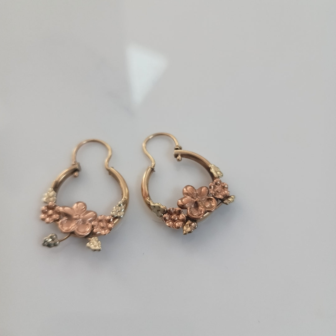 ARETES PAR ORO 10 K 4.6 GRMS (SEMINUEVO)