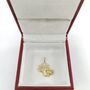DIJE ORO 14 K 0.6 GRMS (SEMINUEVO)