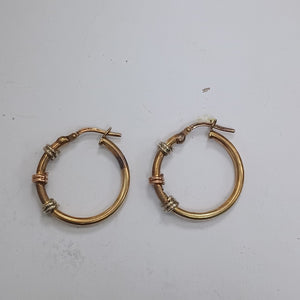 ARRACADAS PAR ORO 10 K 2.9 GRMS (SEMINUEVO)