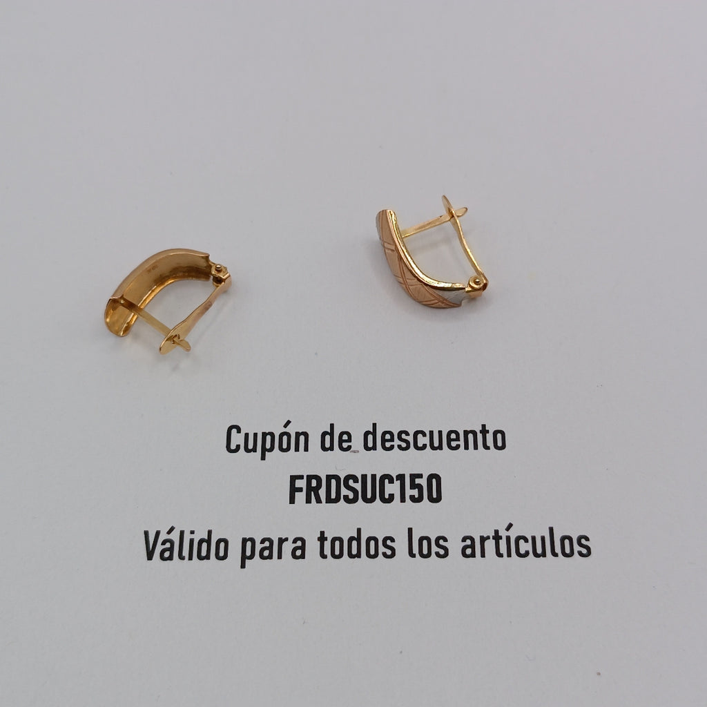 ARETES PAR ORO 10 K 1.7 GRMS (SEMINUEVO)