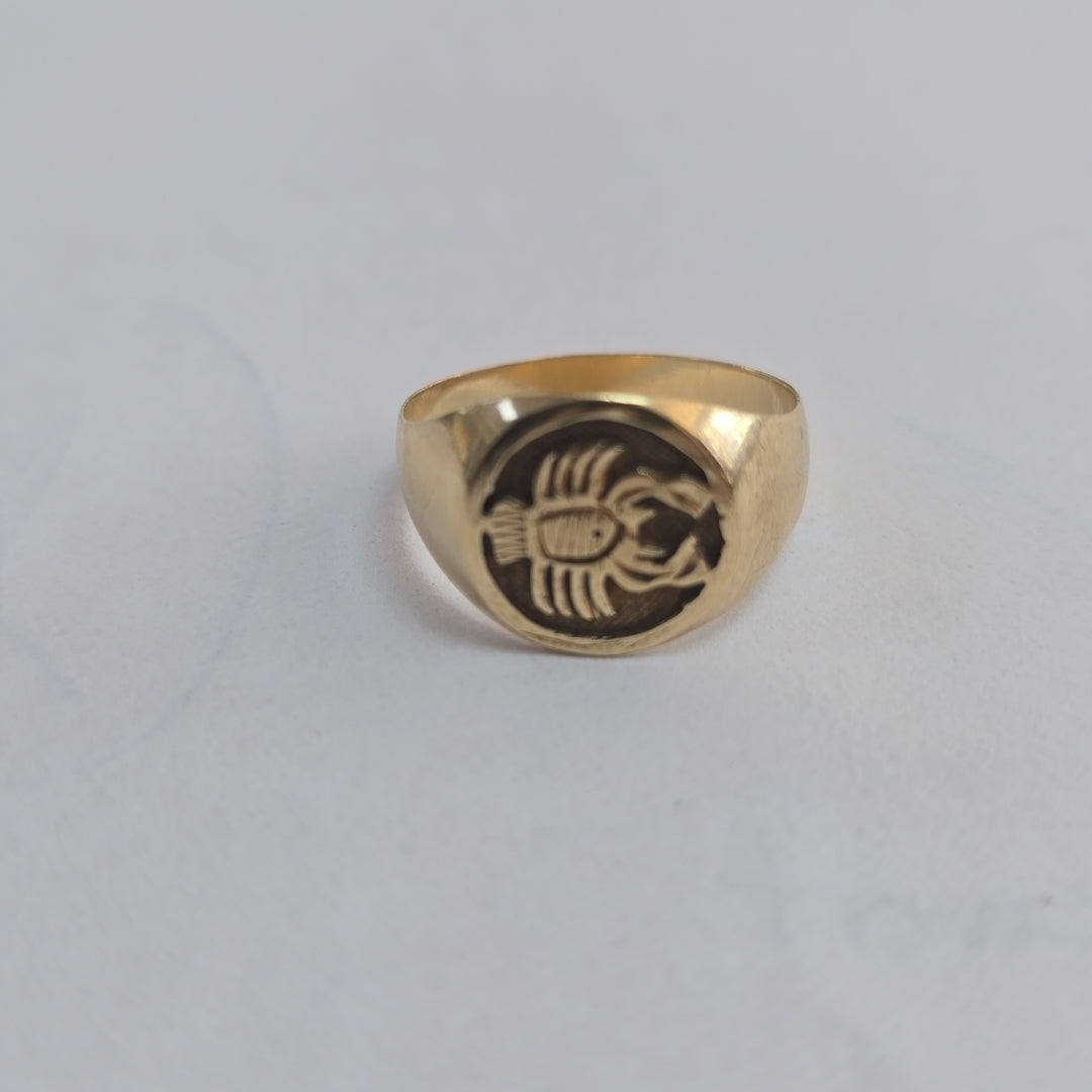 ANILLO ORO 14 K 3 GRMS (SEMINUEVO)