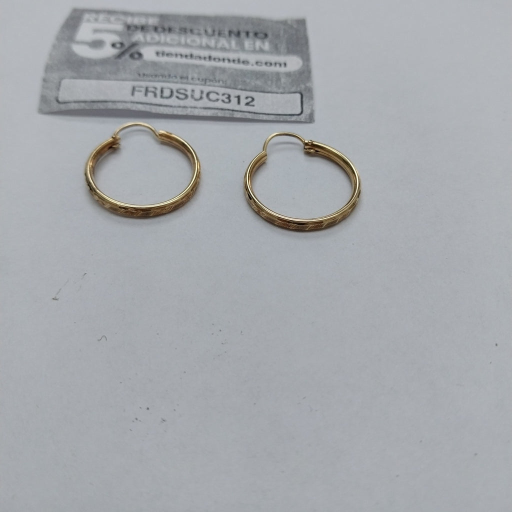 ARRACADAS PAR ORO 10 K 1.7 GRMS (SEMINUEVO)