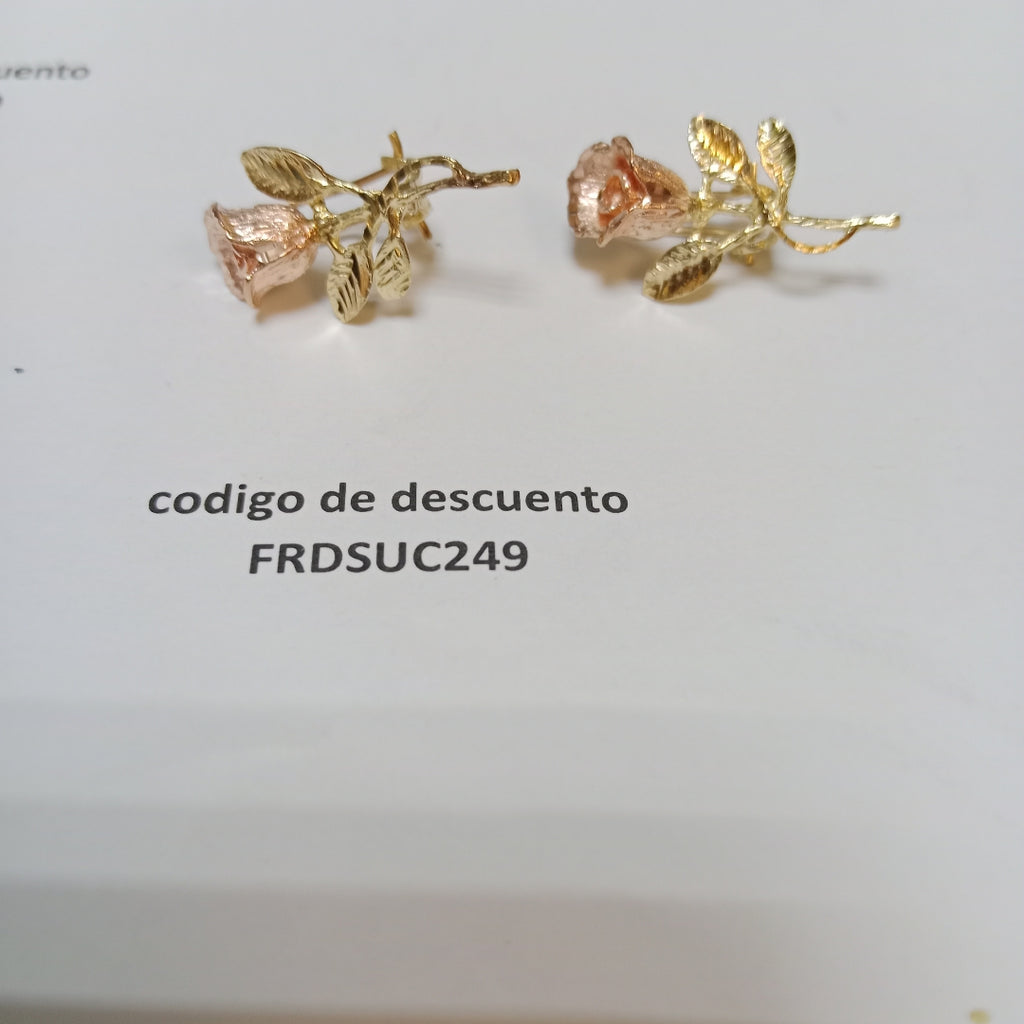 ARETES PAR ORO 10 K 4.9 GRMS (SEMINUEVO)