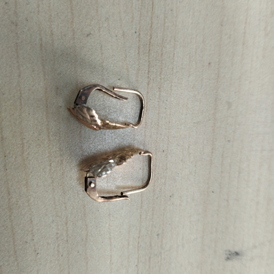 ARETES PAR ORO 10 K 0.8 GRMS (SEMINUEVO)