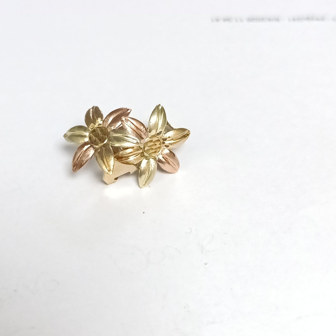ARETES PAR ORO 10 K 2.7 GRMS (SEMINUEVO)