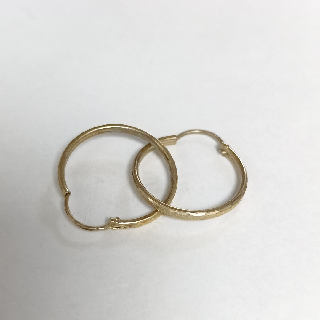 ARRACADAS PAR ORO 10 K 1.4 GRMS (SEMINUEVO)