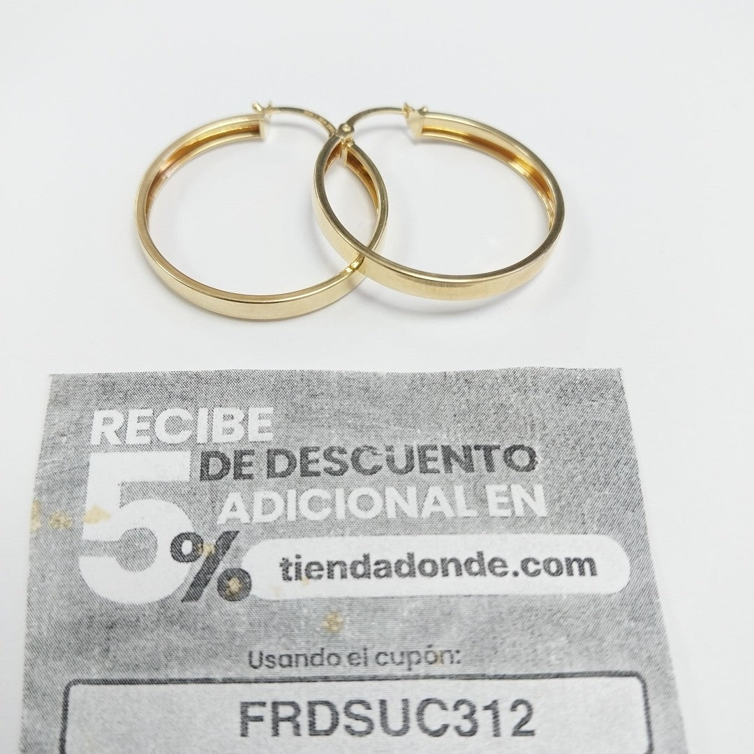 ARRACADAS ORO 10K 2 (NUEVO)