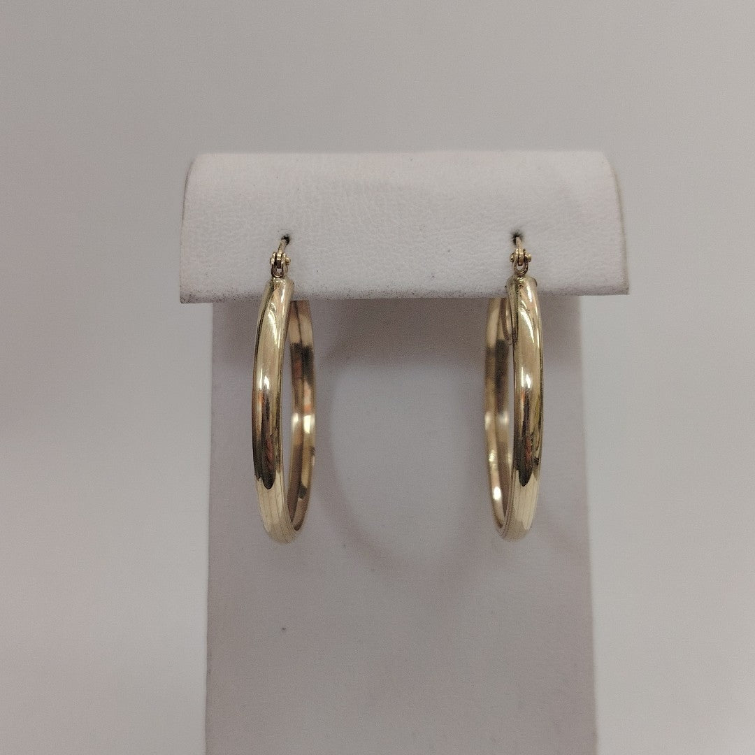 ARRACADAS PAR ORO 10 K 3.8 GRMS (SEMINUEVO)