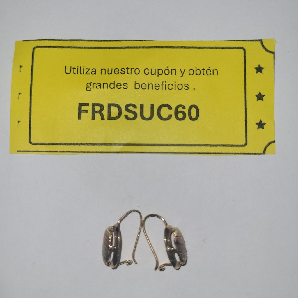 ARETES PAR ORO 10 K 1,70 GRMS (SEMINUEVO)
