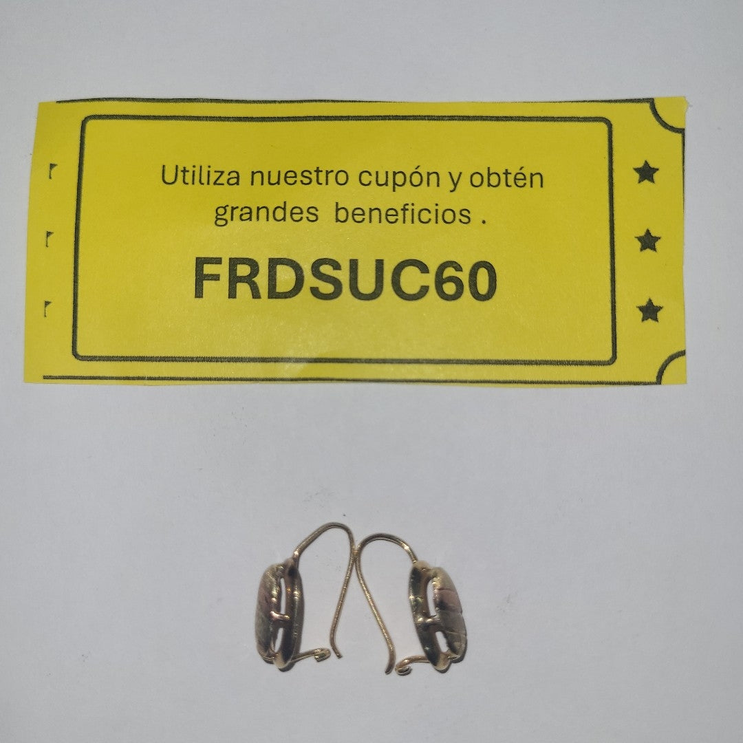 ARETES PAR ORO 10 K 1,70 GRMS (SEMINUEVO)