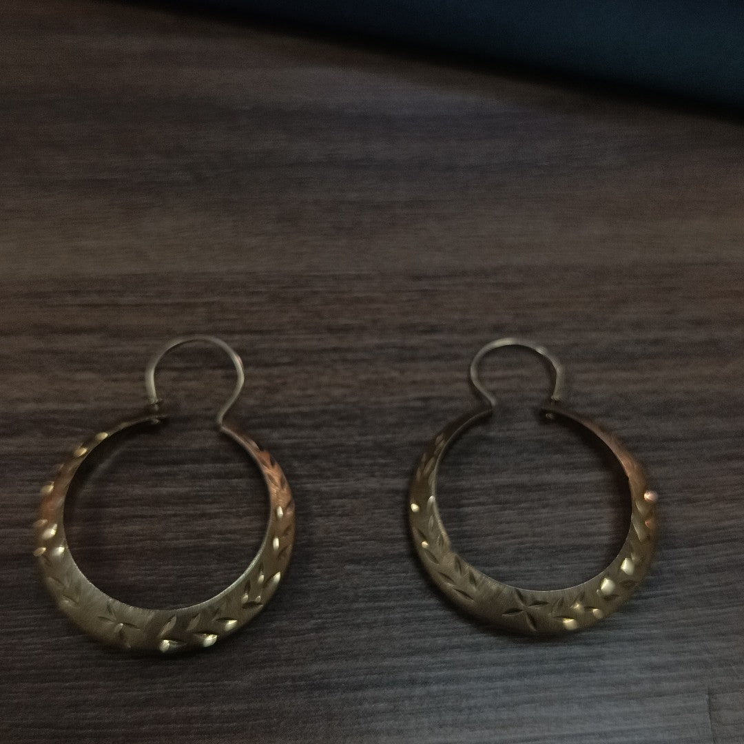 ARRACADAS PAR ORO 10 K 4,20 GRMS (SEMINUEVO)