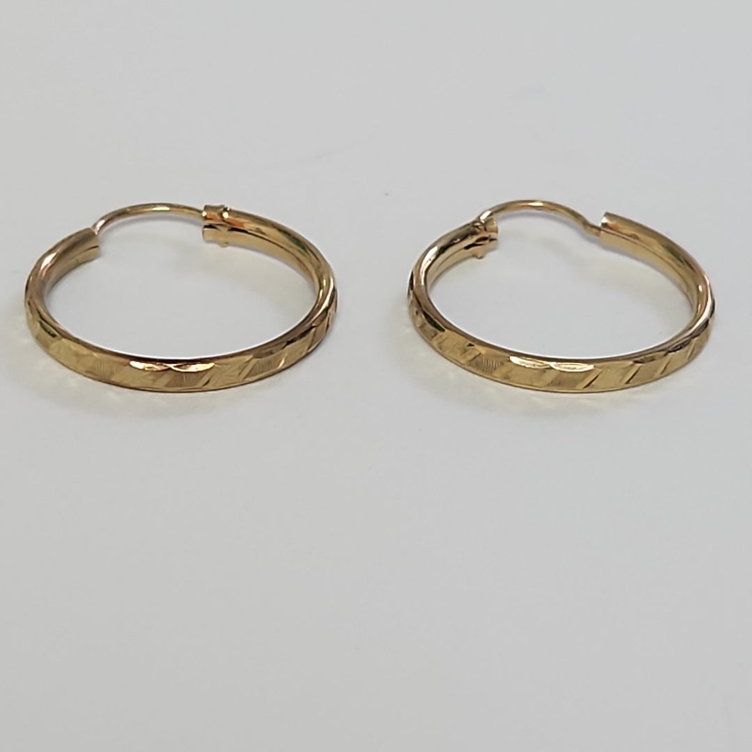 ARETES PAR ORO 10 K 1.6 GRMS (SEMINUEVO)