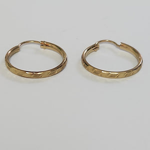 ARETES PAR ORO 10 K 1.6 GRMS (SEMINUEVO)