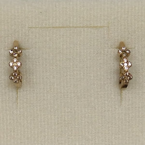 ARETES PAR ORO 10 K 2,40 GRMS (SEMINUEVO)