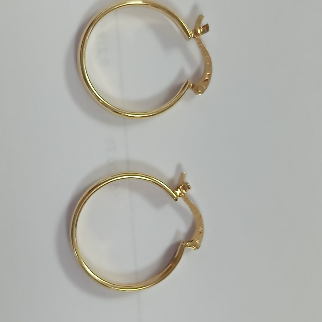 ARRACADAS PAR ORO 14 K 2.3 GRMS (SEMINUEVO)