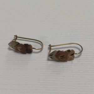 ARETES PAR ORO 10 K 1,20 GRMS (SEMINUEVO)