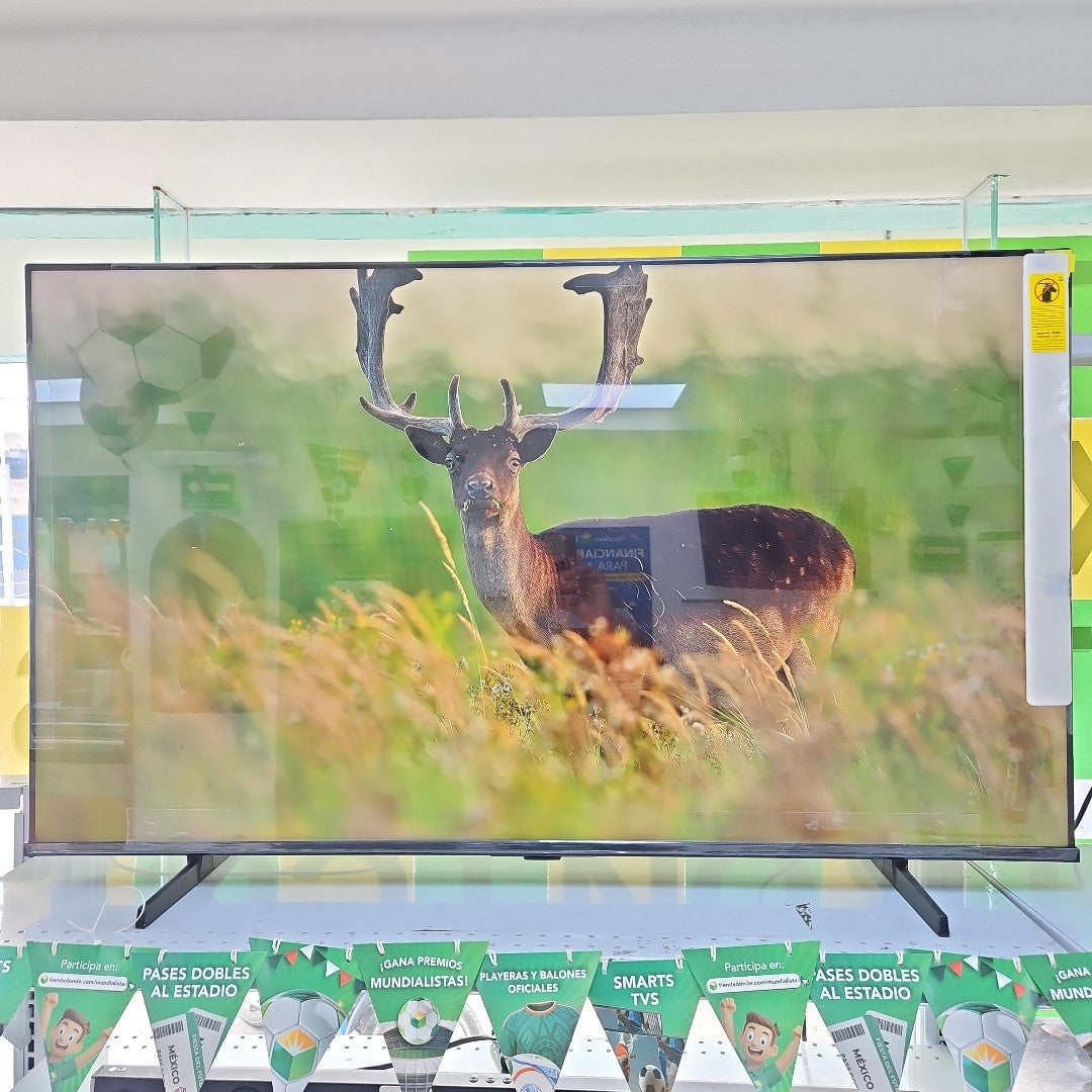 PANTALLA HISENSE 55QD6QV (2025) 55" QLED 4K