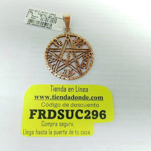 DIJE ORO 14 K 9.9 GRMS (SEMINUEVO)