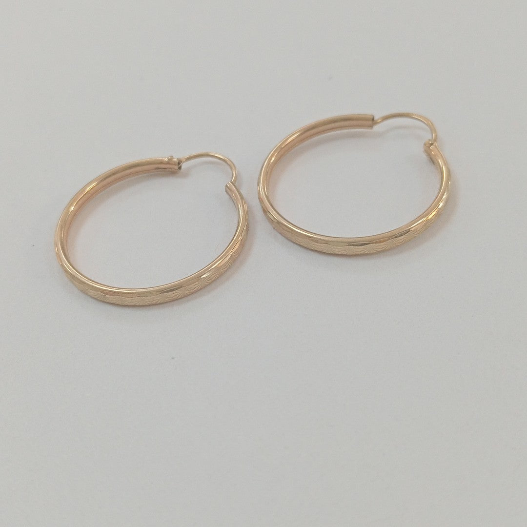 ARRACADAS PAR ORO 10 K 2.2 GRMS (SEMINUEVO)