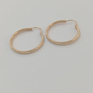 ARRACADAS PAR ORO 10 K 2.2 GRMS (SEMINUEVO)