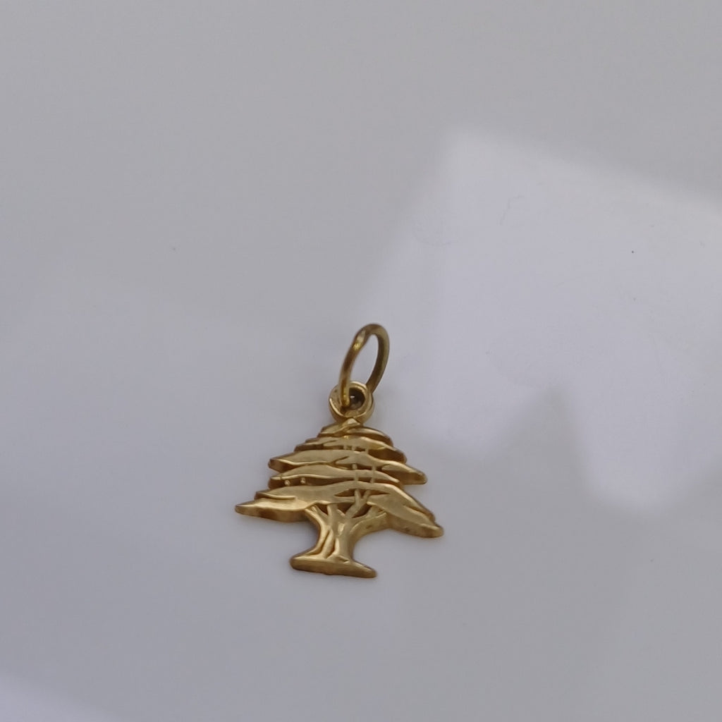 DIJE ORO 14 K 1.3 GRMS (SEMINUEVO)