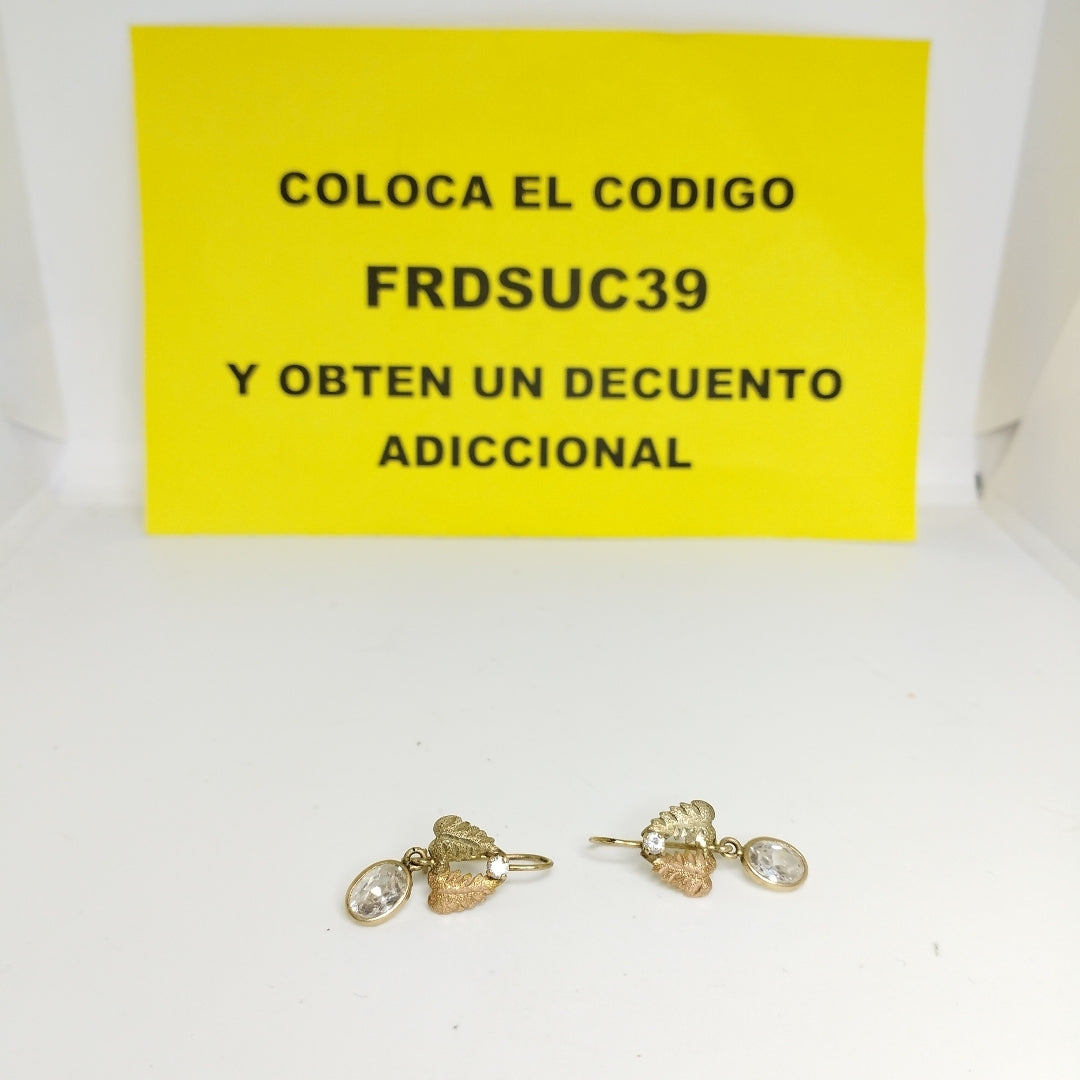 ARETES PAR ORO 10 K 2.2 GRMS (SEMINUEVO)