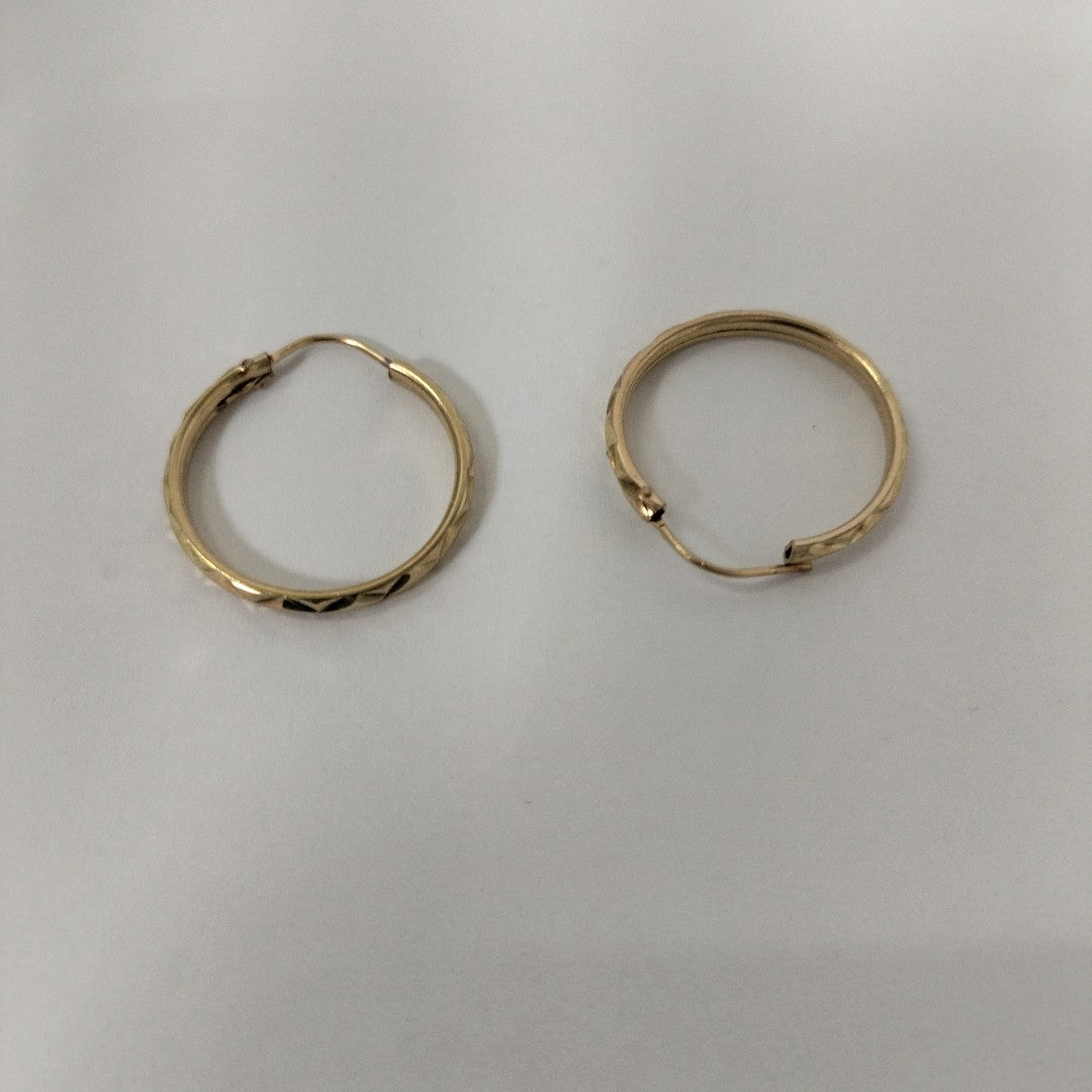 ARRACADAS PAR ORO 10 K 2 GRMS (SEMINUEVO)