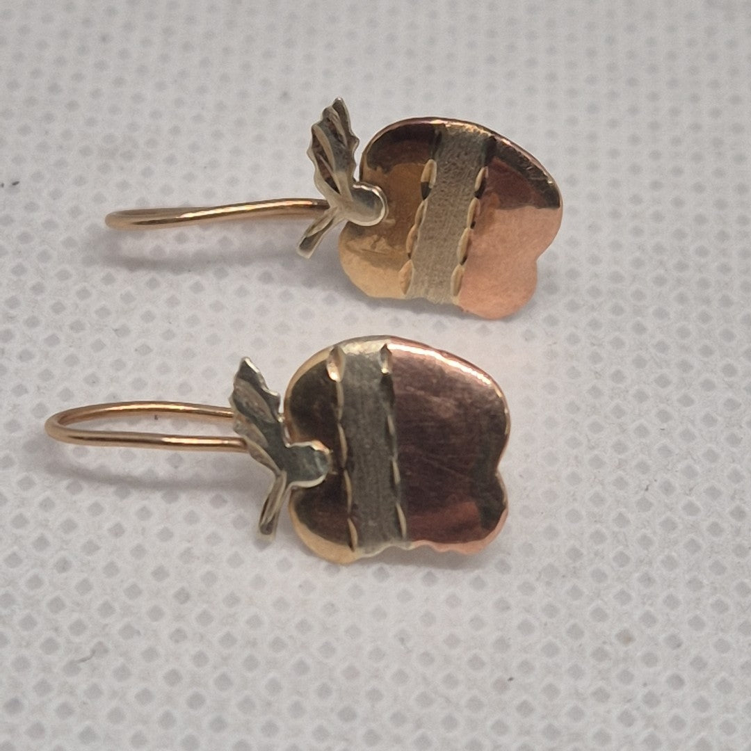 ARETES PAR ORO COMBINADO 10 K 1 GRMS (SEMINUEVO)
