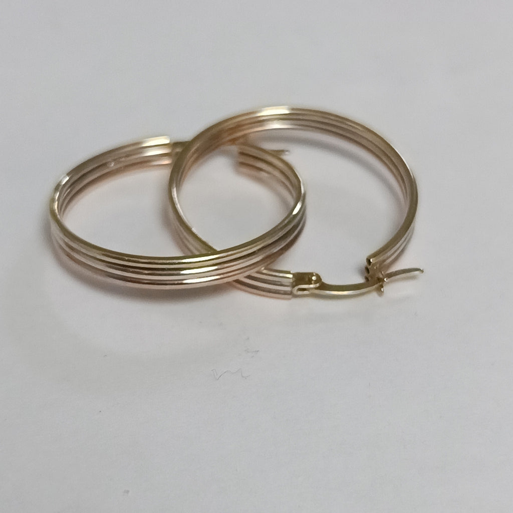ARRACADAS PAR ORO 10 K 2.7 GRMS (SEMINUEVO)