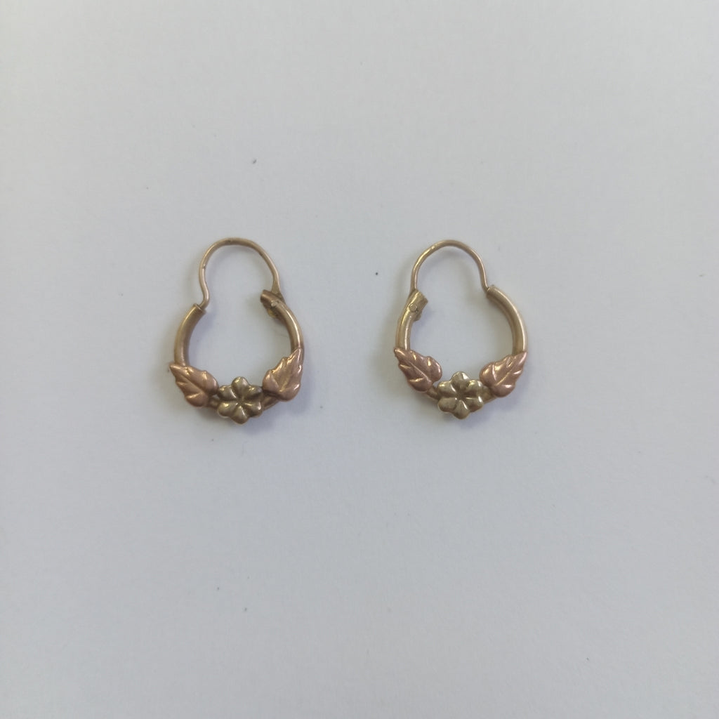 ARETES PAR ORO 10 K 1.3 GRMS (SEMINUEVO)