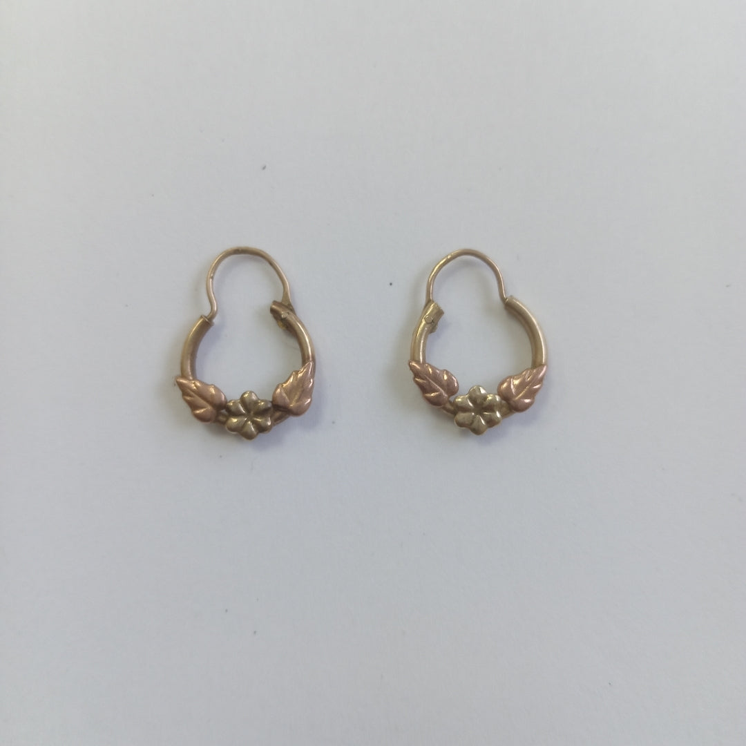 ARETES PAR ORO 10 K 1.3 GRMS (SEMINUEVO)