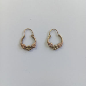 ARETES PAR ORO 10 K 1.3 GRMS (SEMINUEVO)