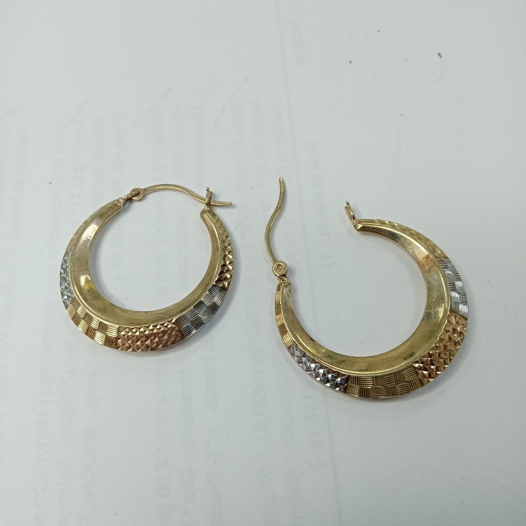 ARRACADAS PAR ORO 10 K 4,10 GRMS (SEMINUEVO)