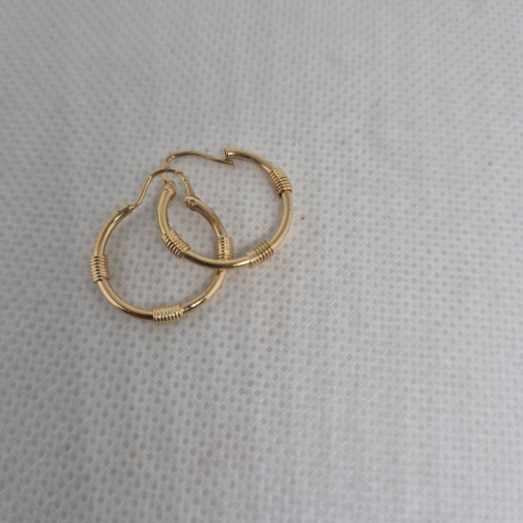 ARRACADAS PAR ORO 10 K 1,80 GRMS (SEMINUEVO)