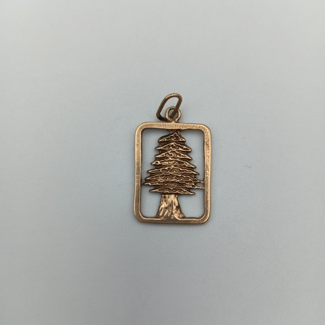 DIJE ORO 10 K 1.7 GRMS (SEMINUEVO)