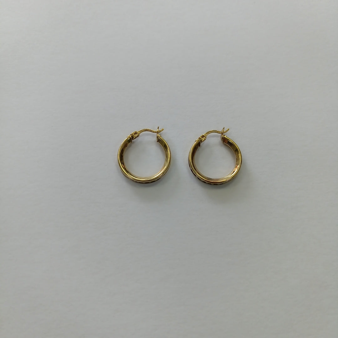 ARRACADAS PAR ORO 10 K 2.2 GRMS (SEMINUEVO)
