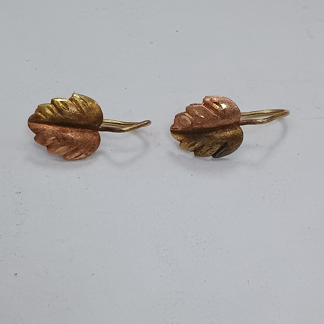ARETES PAR ORO 10 K 0.9 GRMS (SEMINUEVO)