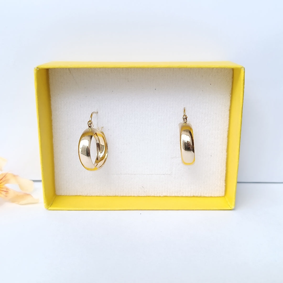 ARETES ARRACADAS ORO 10K 2.5 GR (NUEVO)