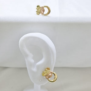 ARETES PAR ORO 14 K 1.8 GRMS (SEMINUEVO)