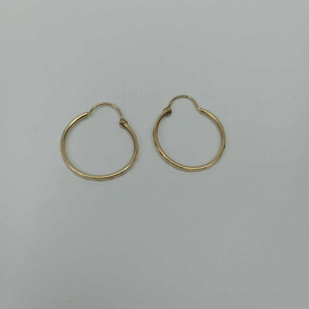 ARRACADAS PAR ORO 10 K 1,40 GRMS (SEMINUEVO)