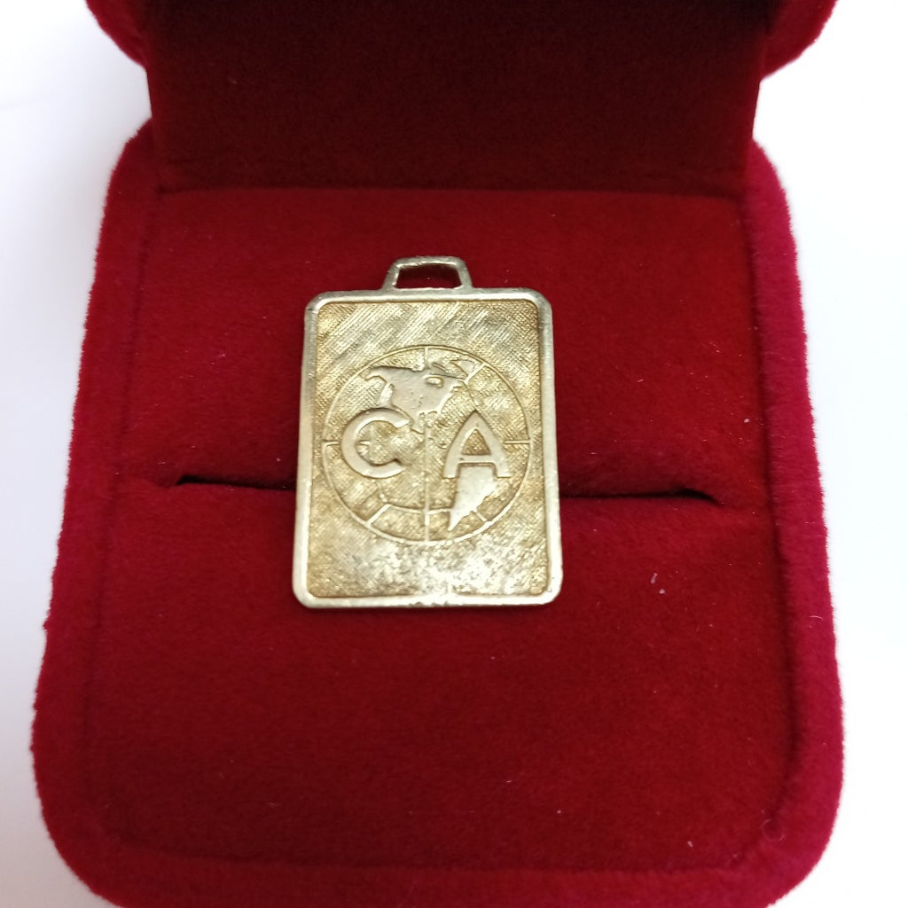 DIJE ORO 10 K 2.2 GRMS (SEMINUEVO)