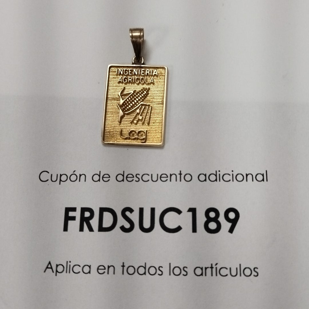 DIJE ORO 14 K 5.5 GRMS (SEMINUEVO)
